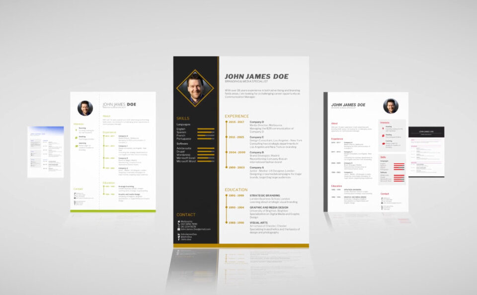 What is the Best Professional Resume Template
